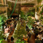 Experiencias gastronómicas en el Caribe