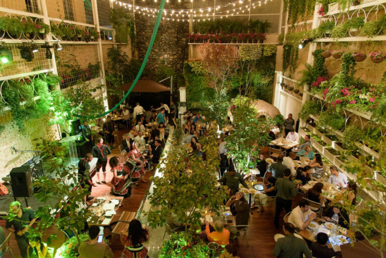Experiencias gastronómicas en el Caribe