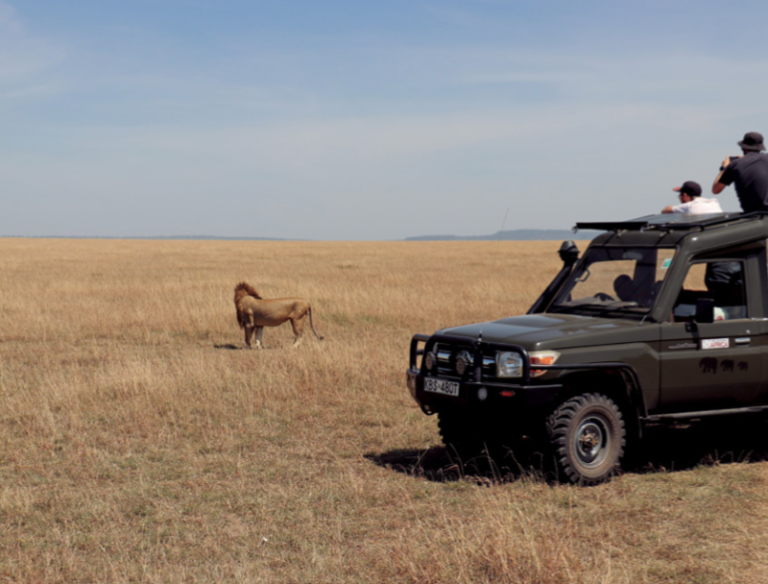 Kenia, un espectáculo llamado “La Gran Migración”