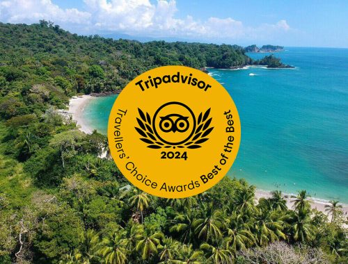 Premios Lo mejor de lo mejor de Travellers' Choice 2024 en el Caribe