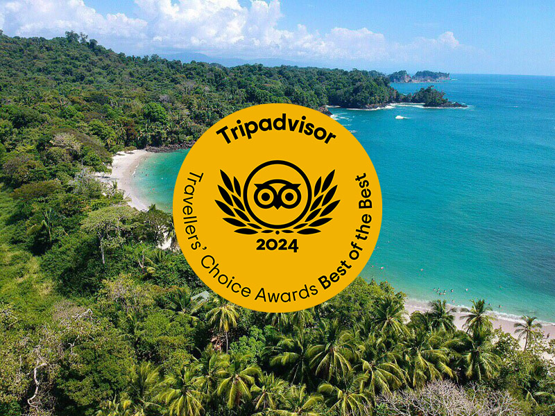 Premios Lo mejor de lo mejor de Travellers' Choice 2024 en el Caribe