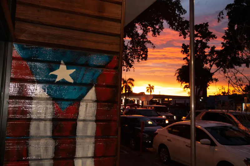 Flag Painting - Calle Ocho - Little Havana