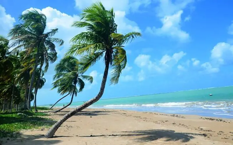 Caribe de Brasil: São Miguel dos Milagres