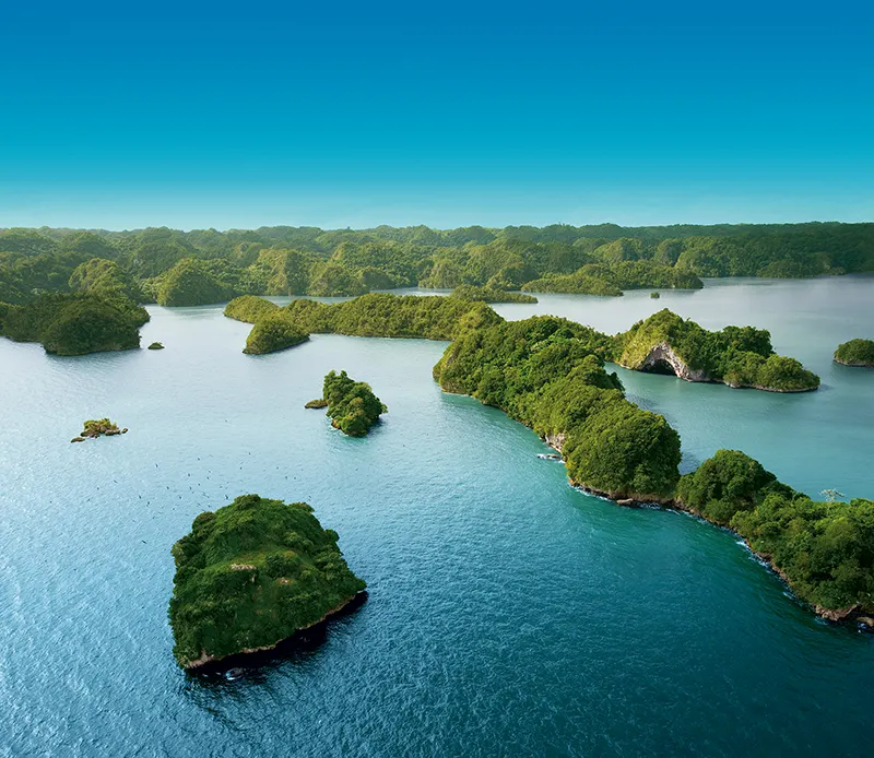 Isla de los Pajaros. Parque Nacional Los Haitises