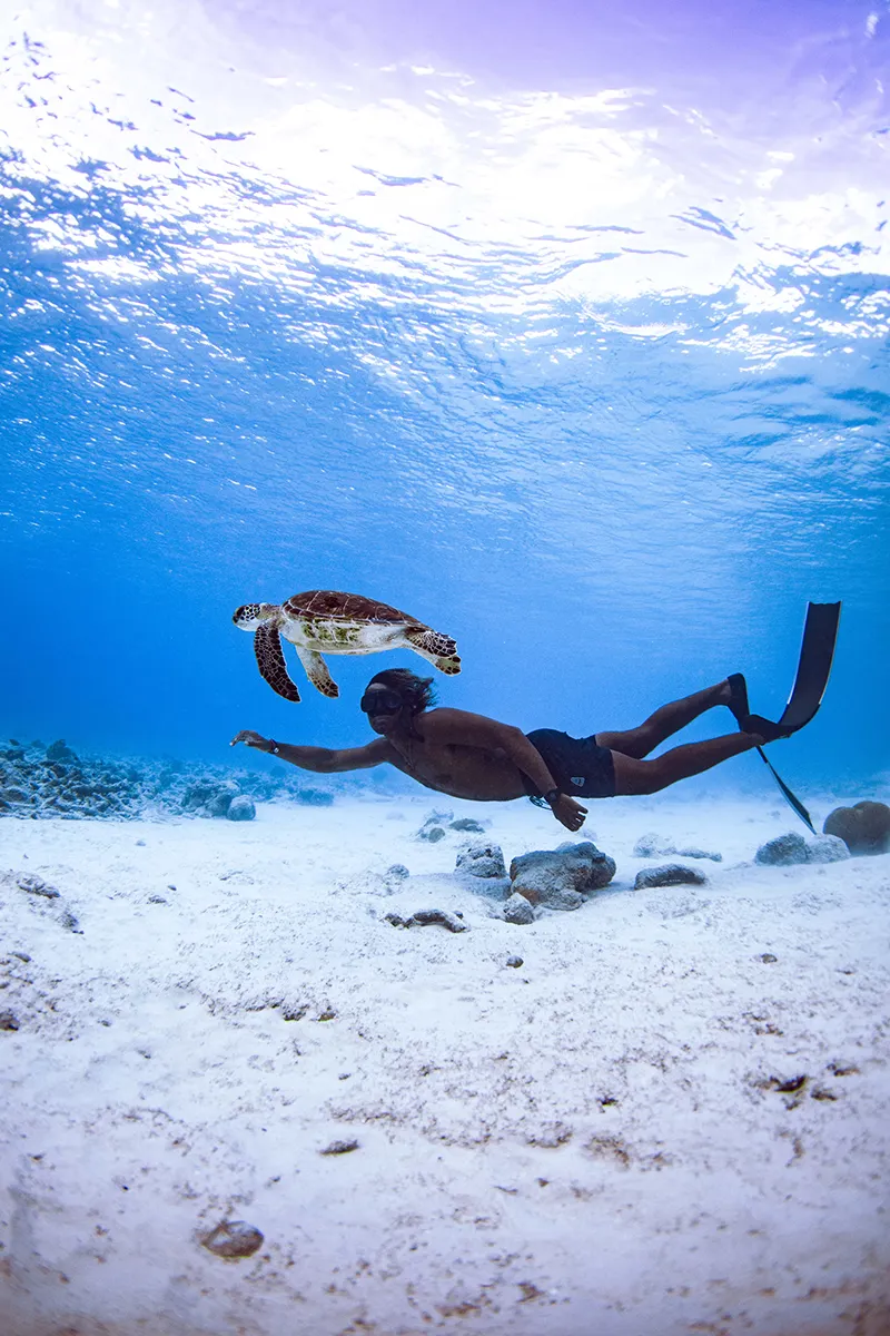 Bonaire: un santuario submarino en el Caribe