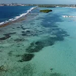 Bajo las aguas de Boca Chica: la batalla silenciosa para devolverle la vida al Caribe