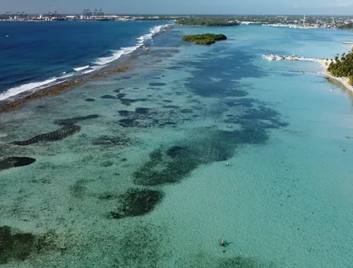 Bajo las aguas de Boca Chica: la batalla silenciosa para devolverle la vida al Caribe