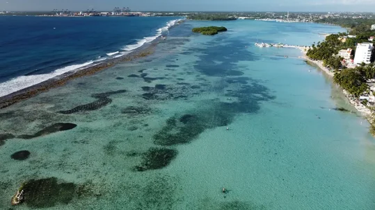 Bajo las aguas de Boca Chica: la batalla silenciosa para devolverle la vida al Caribe