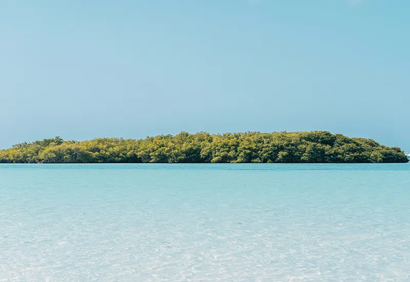 Bajo las aguas de Boca Chica: la batalla silenciosa para devolverle la vida al Caribe