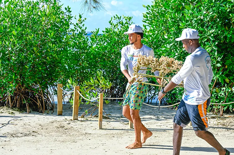Bajo las aguas de Boca Chica Fundacion Verde Profundo