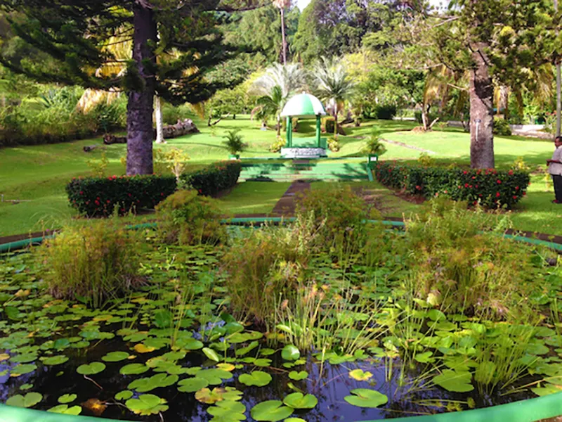 Jardines Botánicos de Kingstown