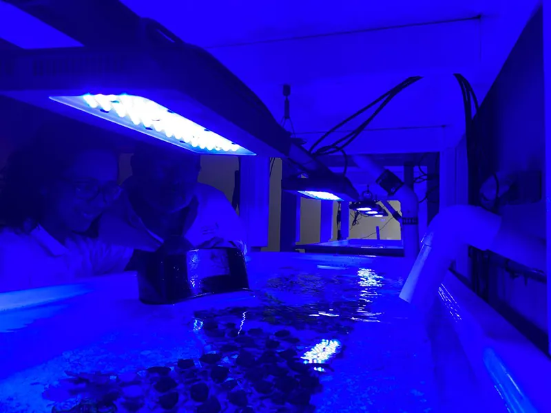 Laboratorio CIM