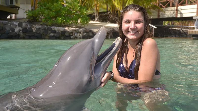 Dolphin Cove