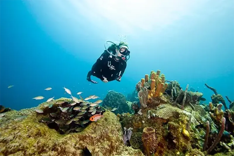 Islas Caimán: tres islas que no cuentan la misma historia