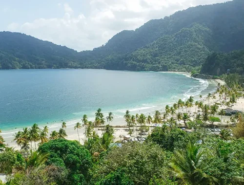 Trinidad y Tobago: donde el Caribe se vuelve naturaleza, música y memoria