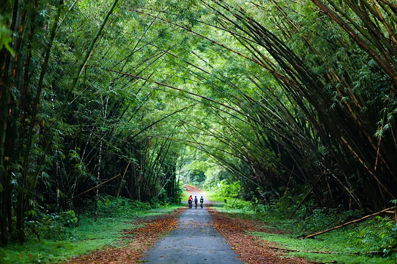 Trinidad y Tobago: donde el Caribe se vuelve naturaleza, música y memoria